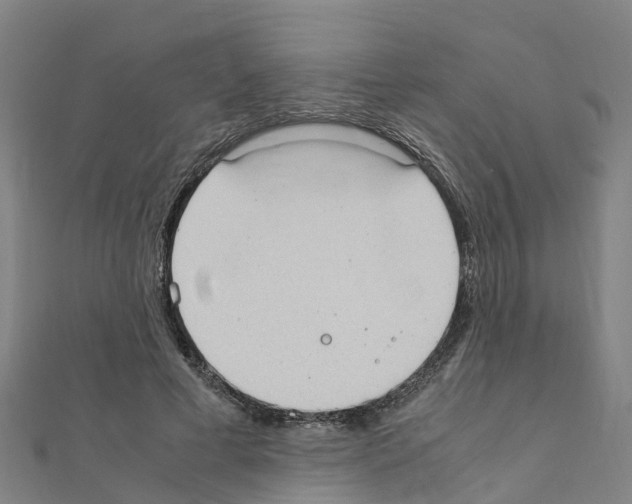 X0000111210593200908121134