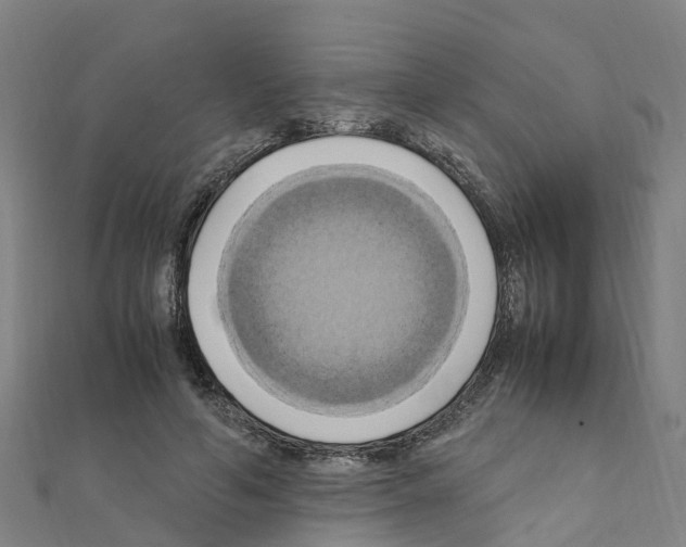 X0000111210594200908121134