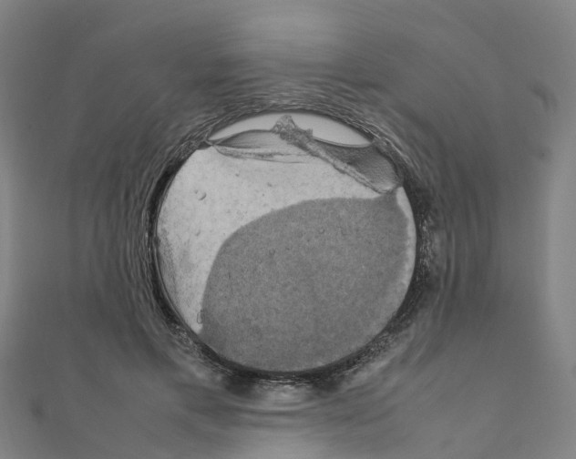 X0000111210597200908121134