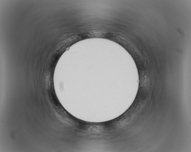 X0000111210599200908121134