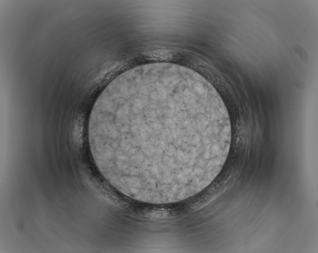 X0000111210600200908121134