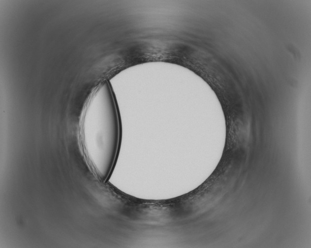 X0000111210601200908121134