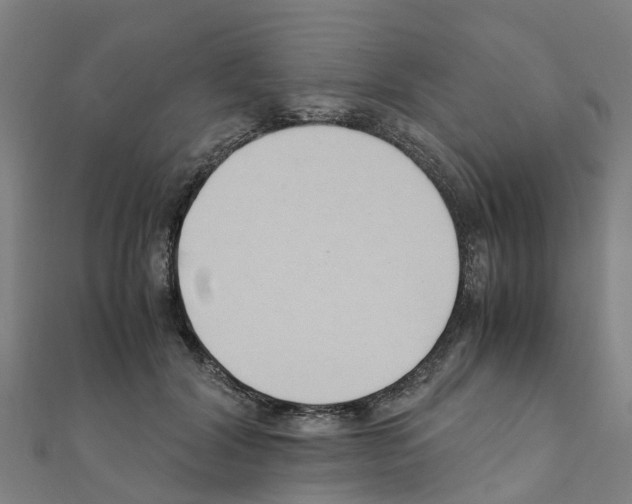 X0000111210604200908121134