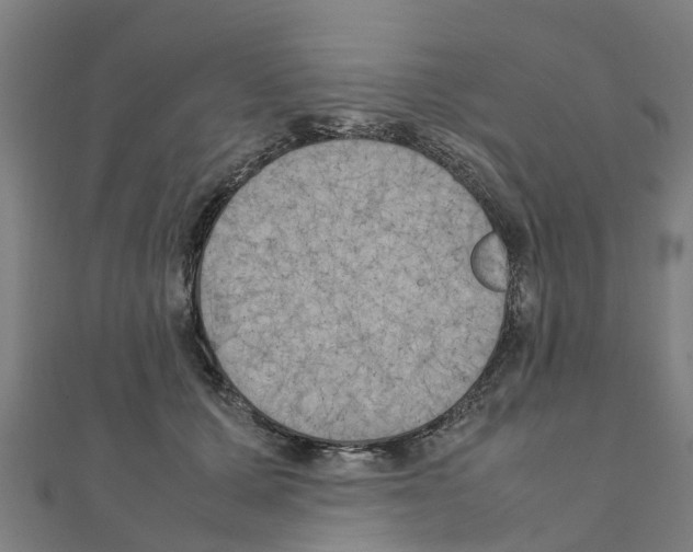 X0000111210607200908121134