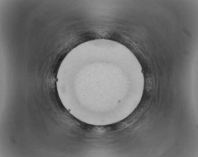 X0000111210613200908121134