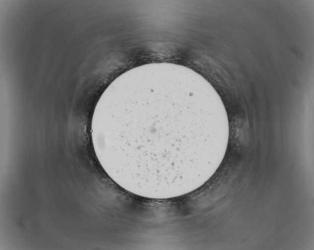 X0000111210615200908121134