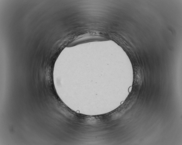 X0000111210616200908121134