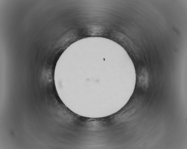 X0000111210620200908121134