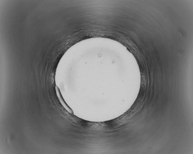 X0000111210621200908121134