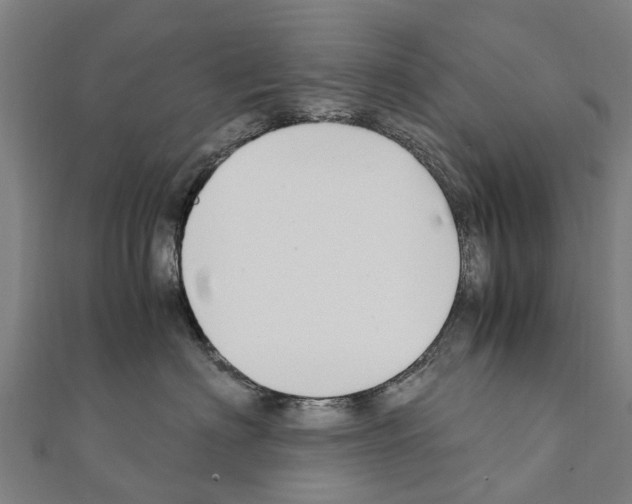 X0000111210622200908121134