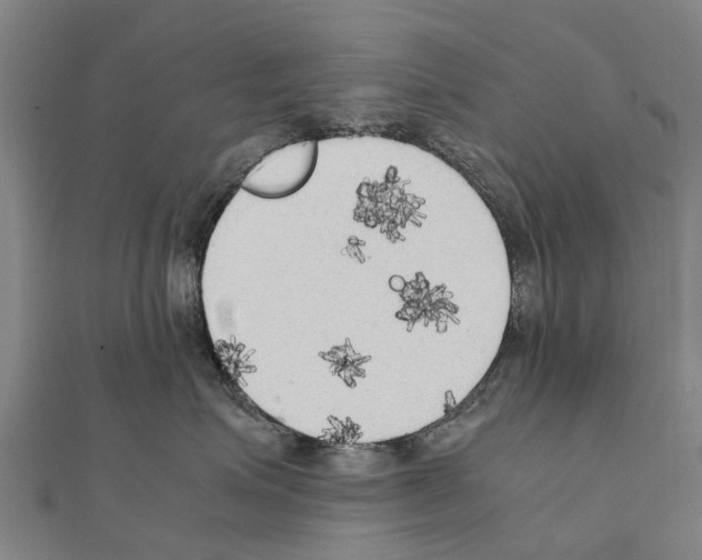 X0000111210623200908121134