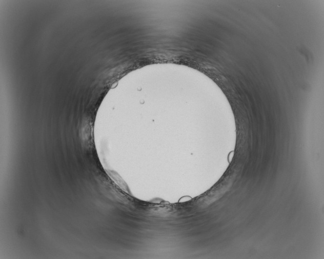 X0000111210624200908121134