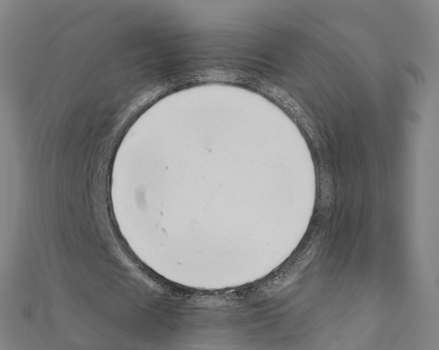 X0000111210625200908121133