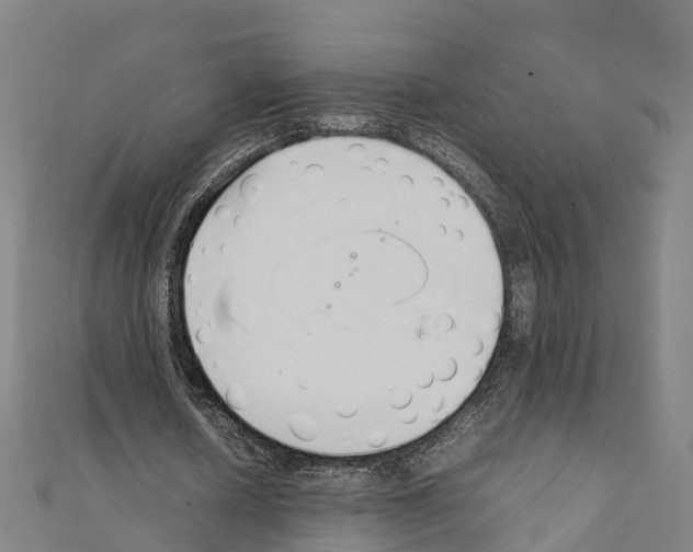 X0000111210626200908121133