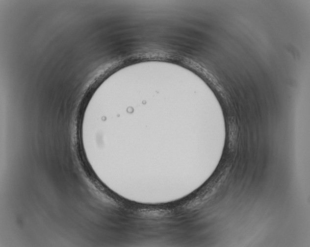 X0000111210629200908121133