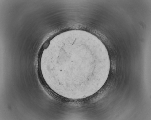 X0000111210630200908121133