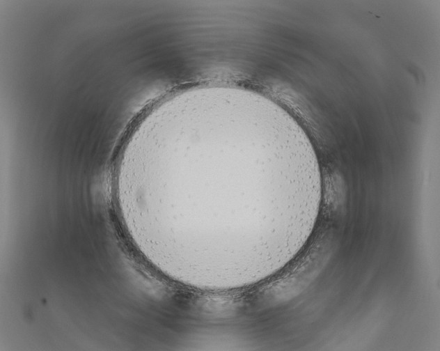 X0000111210632200908121133