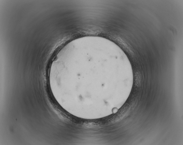 X0000111210634200908121133