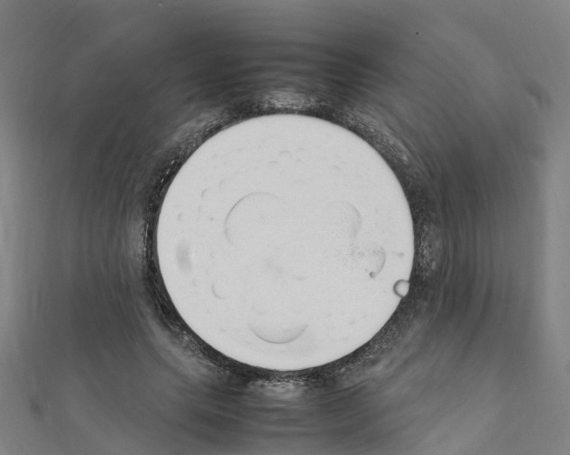 X0000111210639200908121133