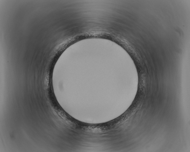 X0000111210640200908121133