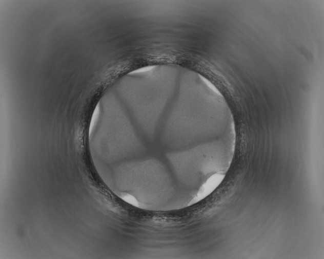 X0000111210641200908121133