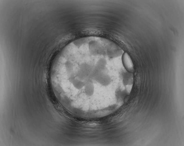 X0000111210643200908121133