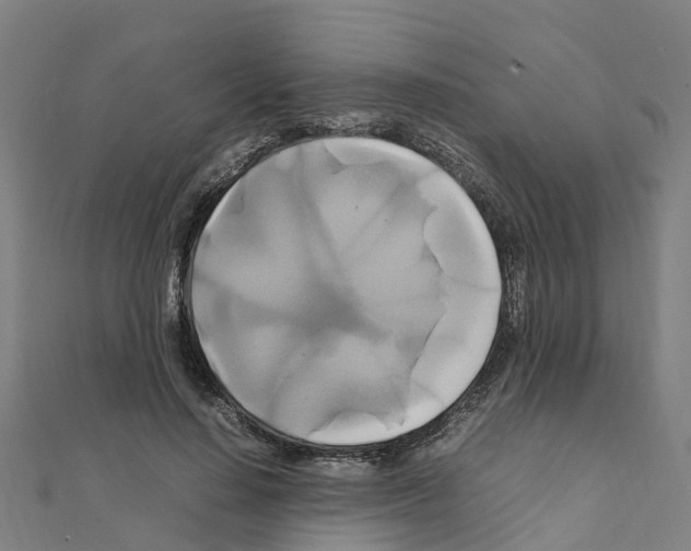 X0000111210644200908121133