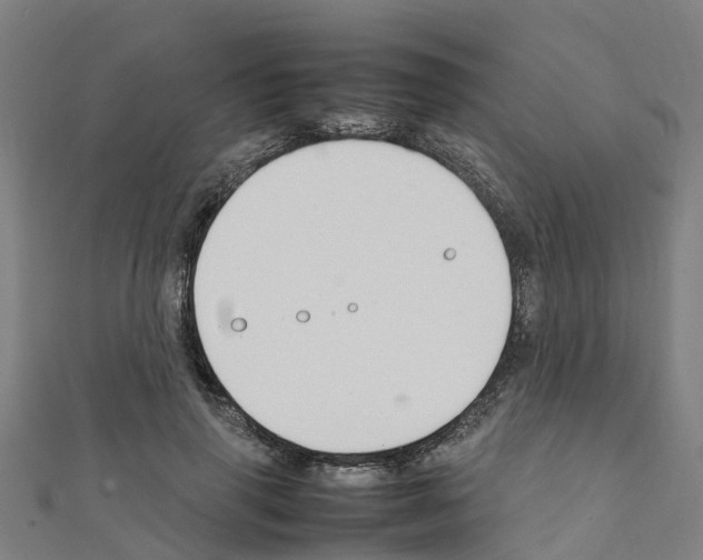 X0000111210645200908121133