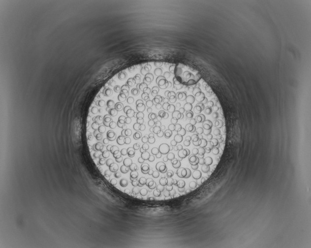 X0000111210646200908121133