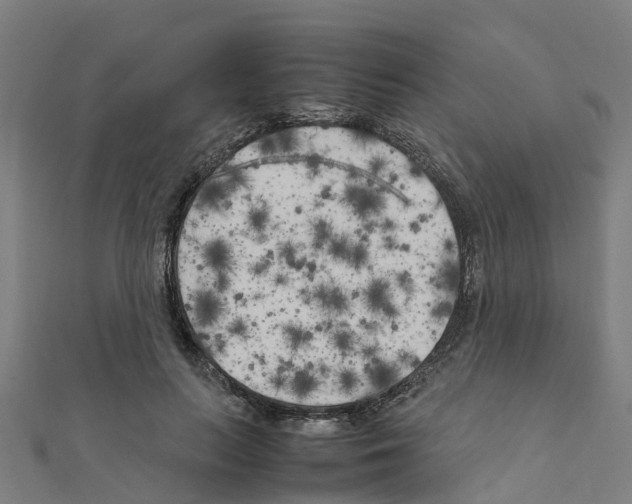 X0000111210647200908121133