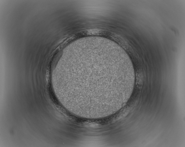 X0000111210648200908121133