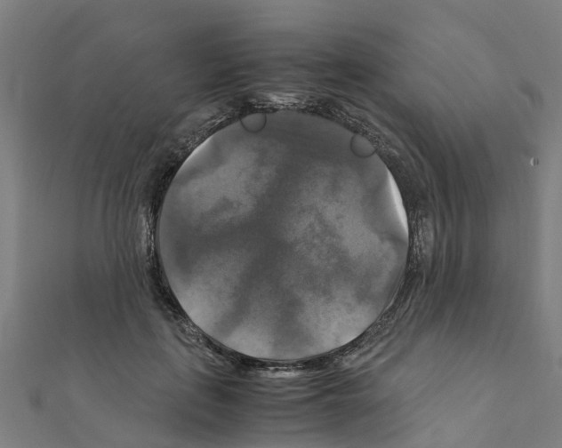 X0000111210651200908121133