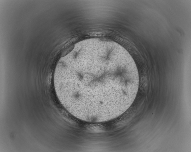 X0000111210652200908121133