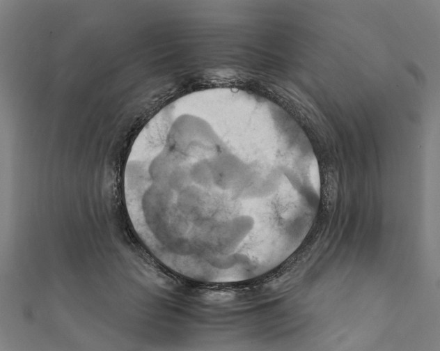 X0000111210653200908121133