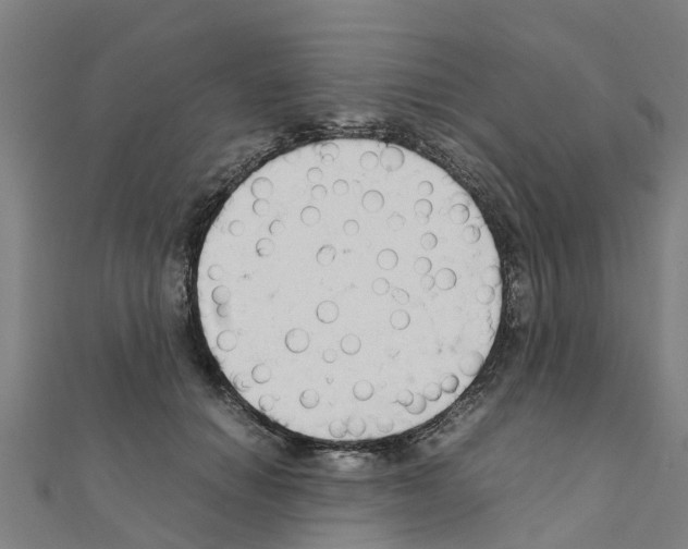 X0000111210654200908121133