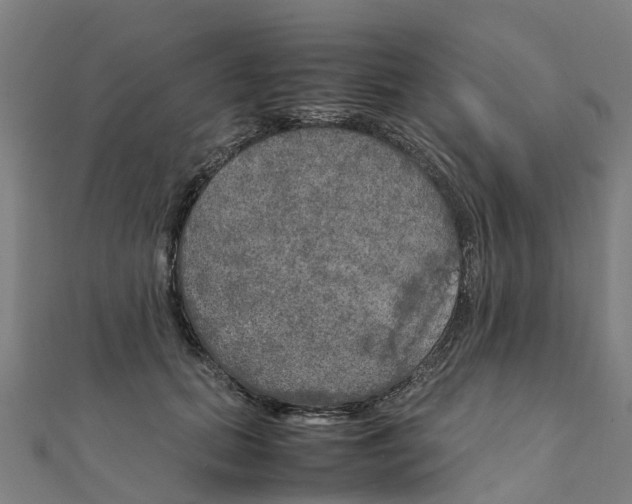 X0000111210655200908121133