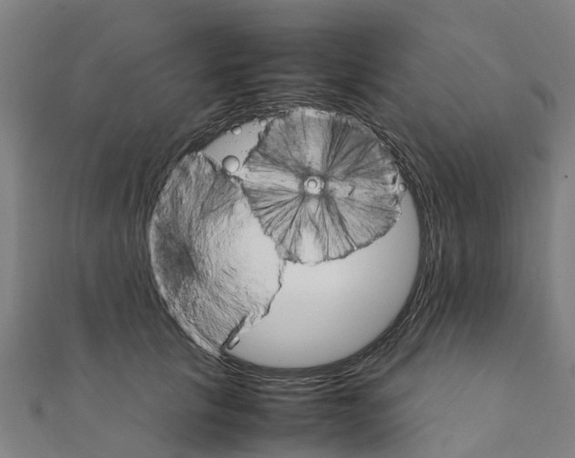 X0000111210657200908121133