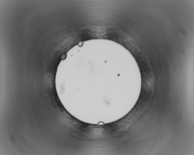 X0000111210658200908121133