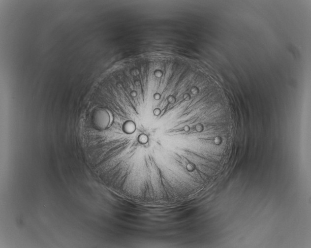 X0000111210659200908121133