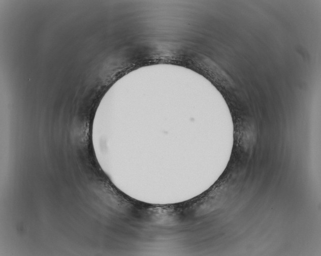 X0000111210660200908121133