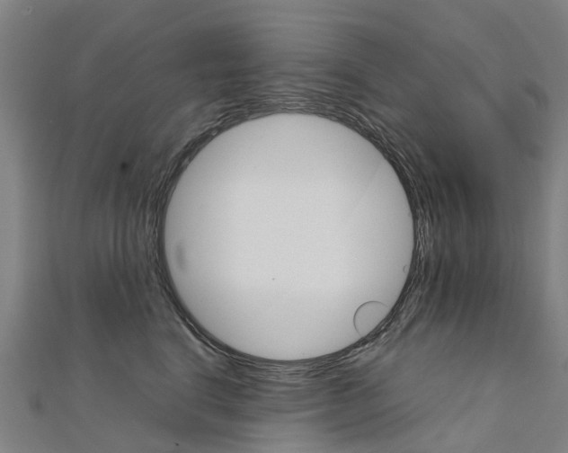 X0000111210664200908121133