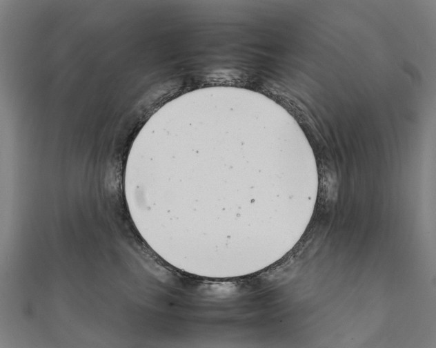 X0000111210665200908121133