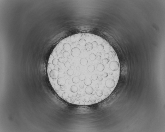 X0000111210666200908121133