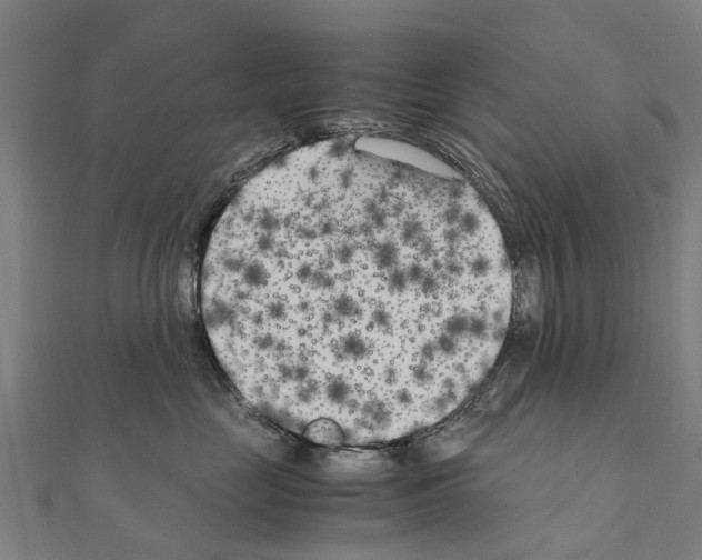 X0000111210669200908121133