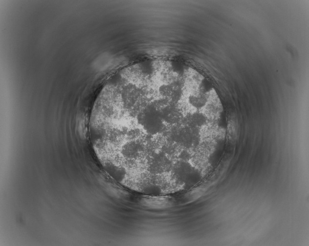 X0000111210671200908121134