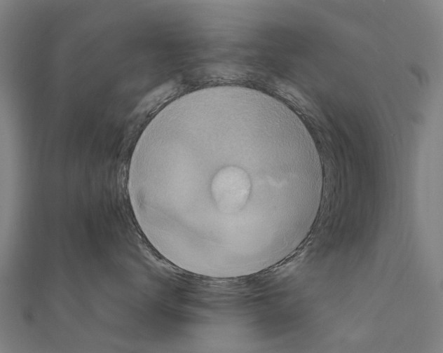 X0000111210672200908121134