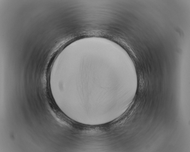 X0000111210674200908121133