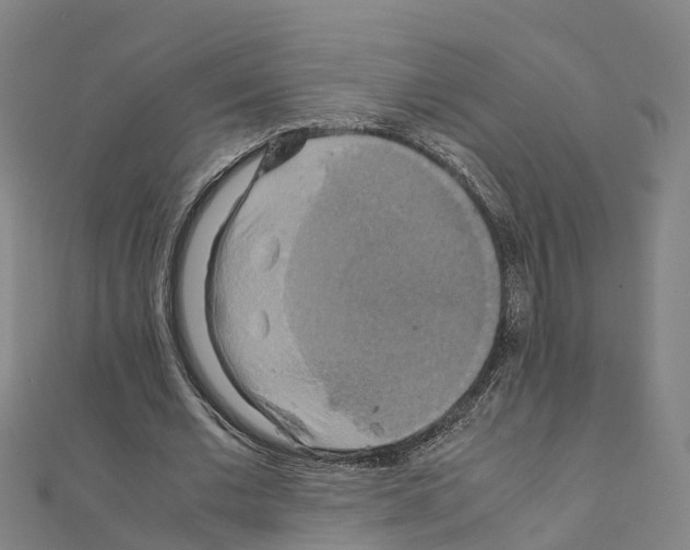 X0000111210677200908121133