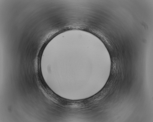 X0000111210678200908121133