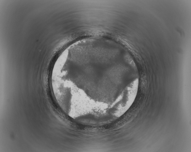 X0000111210679200908121133